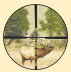 Burris Ballistic Plex with elk
